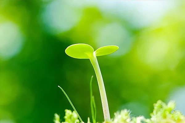 �������ܻ�����ƣ�����Դ������ƣ��Ϻ��������